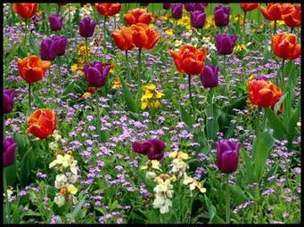 Spring Excitement