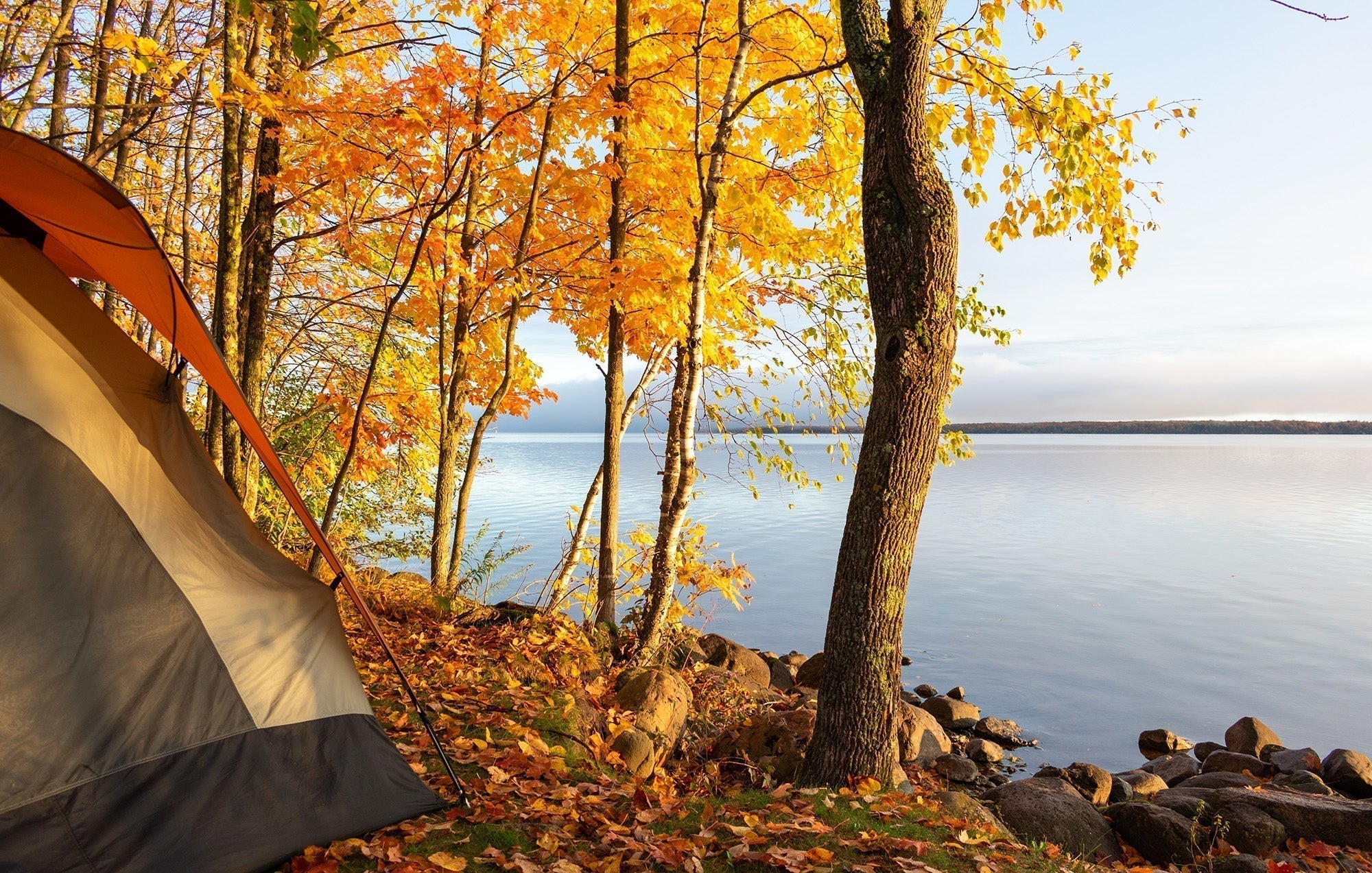 FALL UPDATES 🍂🍁🍃 – All-Pro Adventures